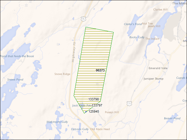 A map of the area immediately surrounding DFRP Property Number 00273