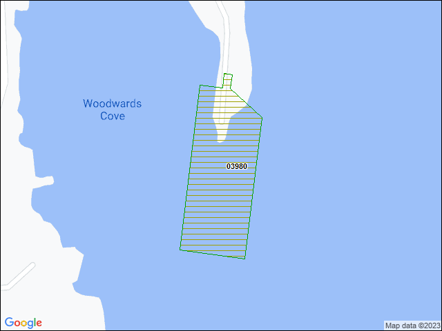 A map of the area immediately surrounding DFRP Property Number 03980