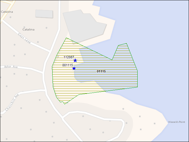 Une carte de la zone qui entoure immédiatement le bien de l'RBIF numéro 01115