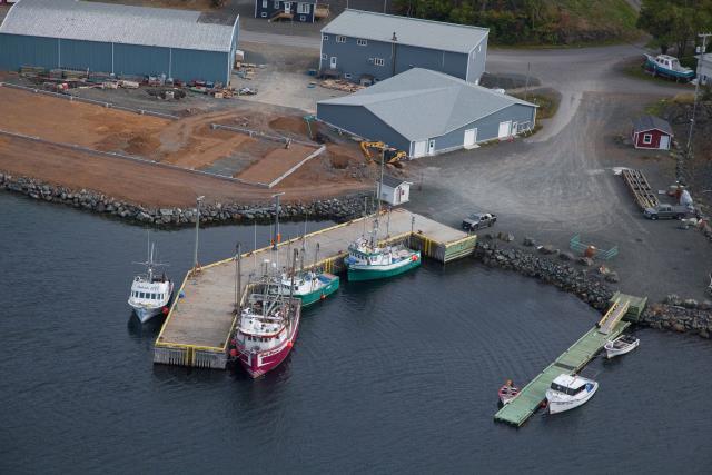Site du Port pour Petits Bateaux, 16329, Triton West, Terre-Neuve-et-Labrador. (2020)