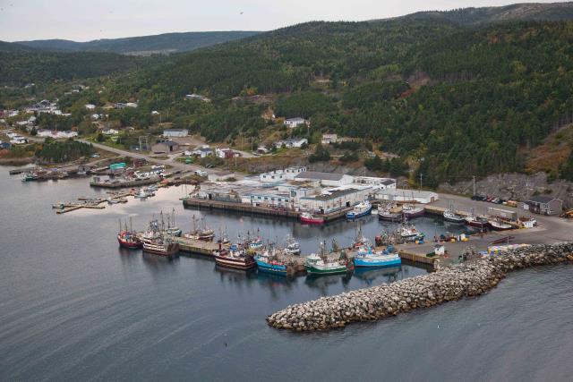 Small Craft Harbour Site, 01538, La Scie, Newfoundland and Labrador. (2020)