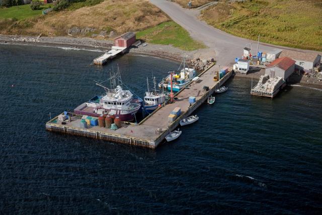 Small Craft Harbour Site, 01094, Trinity East, Newfoundland and Labrador. (2020)