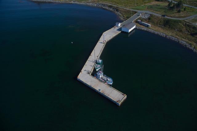 Site du Port pour Petits Bateaux, 00037, Renews (Terre-Neuve-et-Labrador). (2020)