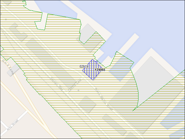 A map of the area immediately surrounding building number 124065