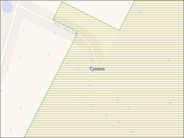 A map of the area immediately surrounding building number 125333