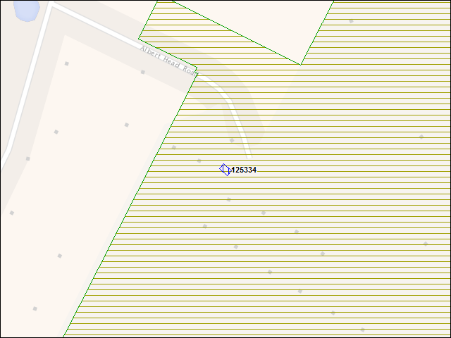 A map of the area immediately surrounding building number 125334