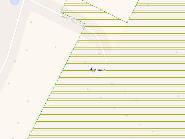 A map of the area immediately surrounding building number 125335