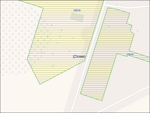 A map of the area immediately surrounding building number 125603