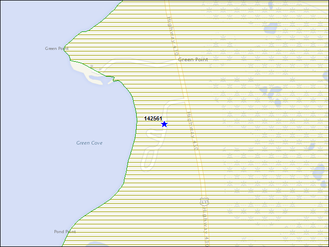 A map of the area immediately surrounding building number 142561