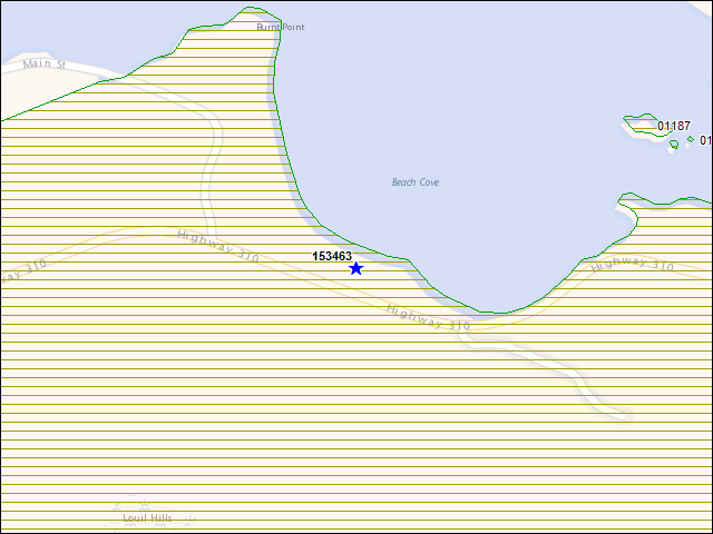 A map of the area immediately surrounding building number 153463