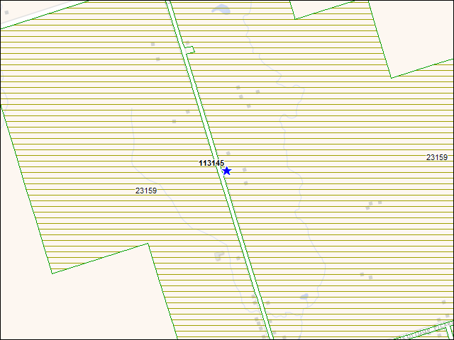 Une carte de la zone qui entoure immédiatement le bâtiment numéro 113145