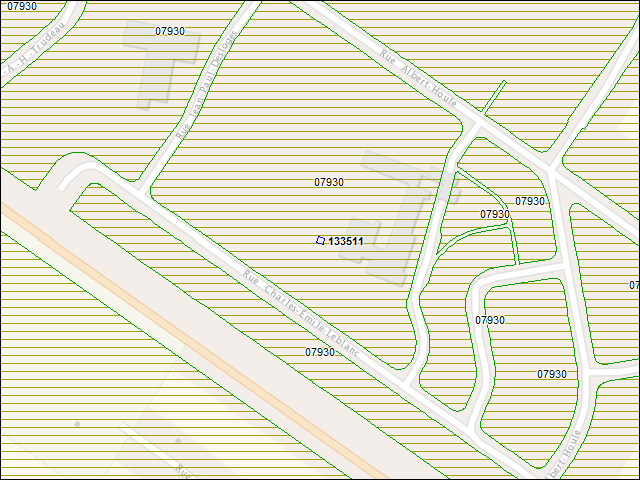 Une carte de la zone qui entoure immédiatement le bâtiment numéro 133511