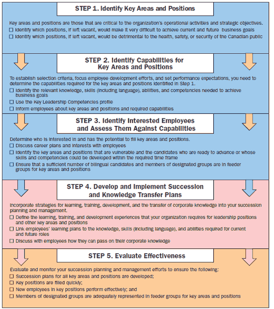 Succession Planning And Management Five Step Process