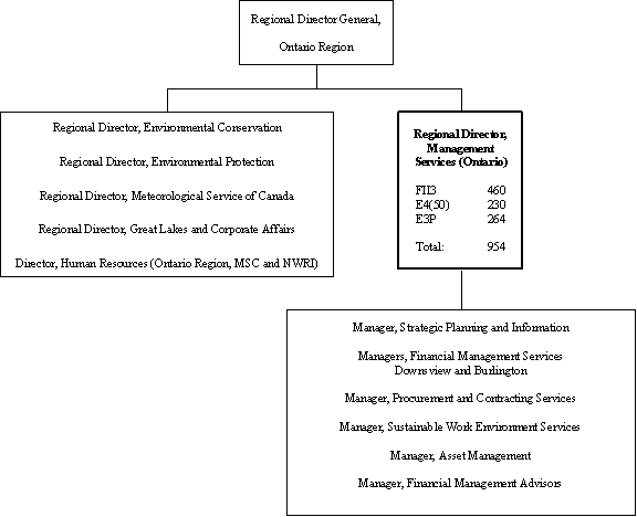 Org chart of the REGIONAL DIRECTOR MANAGEMENT SERVICES (ONTARIO)