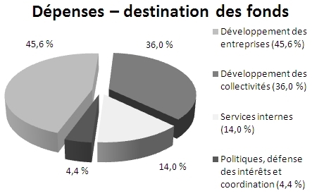 Graphique circulaire; répartition des dépenses réelles, AP